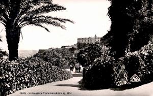 Oran - Promenade de Letang - Coin - 1953